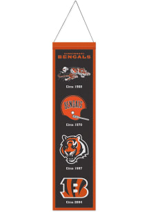Cincinnati Bengals 8x32 Evolution Banner