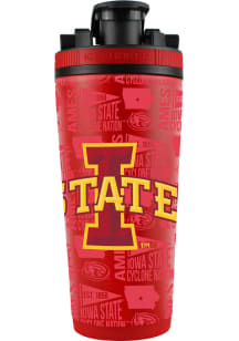 Iowa State Cyclones 26oz Vintage Elements Stainless Steel Bottle