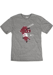 Arkansas Razorbacks Grey Baseball Vintage Logo Short Sleeve Fashion T Shirt