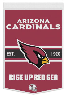 Arizona Cardinals Primary Banner