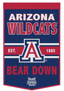 Arizona Wildcats Primary Banner