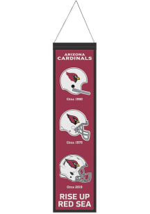Arizona Cardinals Evolution Banner
