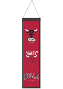 Chicago Bulls Evolution Banner