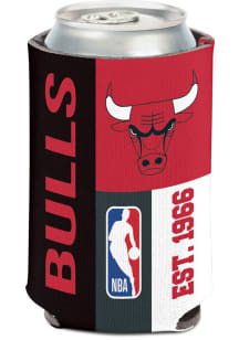 Chicago Bulls Color Block Coolie