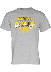 Michigan Wolverines Grey 2023 National Champions Years Short Sleeve T Shirt