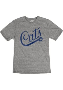 Arizona Wildcats Grey Triblend Vintage Script Short Sleeve Fashion T Shirt