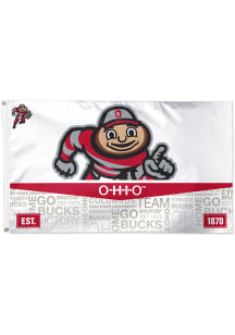 Ohio State Buckeyes 3x5 OHIO Red Silk Screen Grommet Flag