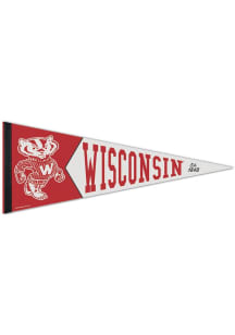 Cardinal Wisconsin Badgers Team Vault Logo Pennant