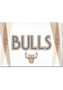 Chicago Bulls 2024 City Edition 2x3 Magnet Magnet
