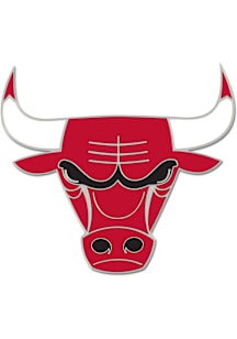 Chicago Bulls Souvenir Team Logo Pin -