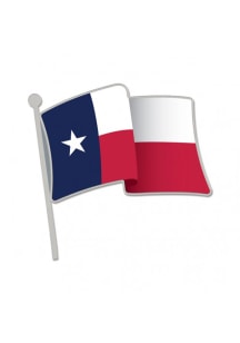 Texas Souvenir Flag Pin