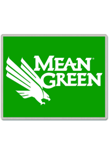 North Texas Mean Green Souvenir Enamel Pin
