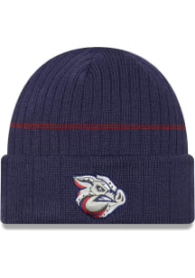 New Era Lehigh Valley Ironpigs Blue MiLB 2022 Authentic Collection Mens Knit Hat