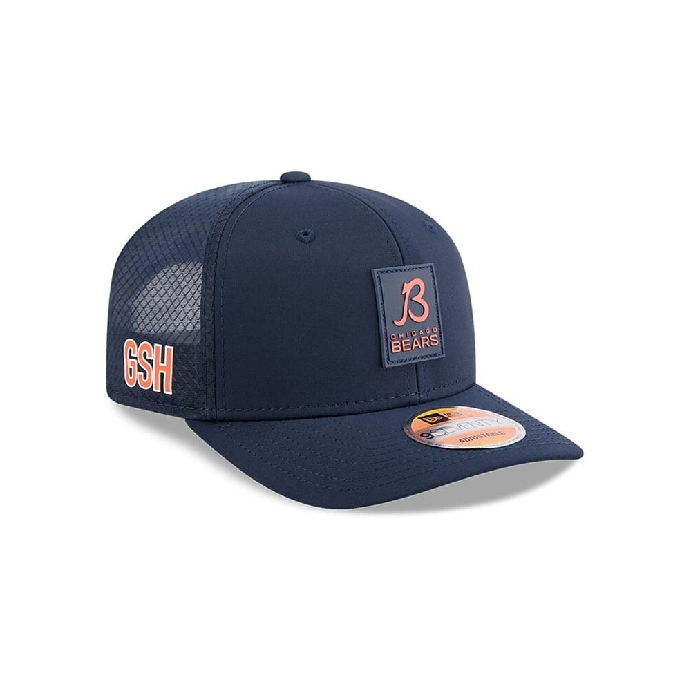 Ict Department Carhartt Bear Lake Cap Chicago Bears Hat Store Shop