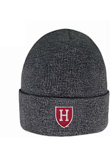 LogoFit Harvard Crimson Dark Grey South Pole Mens Knit Hat