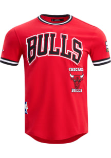 Pro Standard Chicago Bulls Red Retro Chenille Striped Short Sleeve Fashion T Shirt