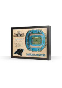 Carolina Panthers 3D Stadium View Wall Art