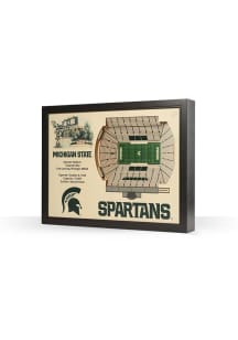 Michigan State Spartans 3D Stadium View Wall Art