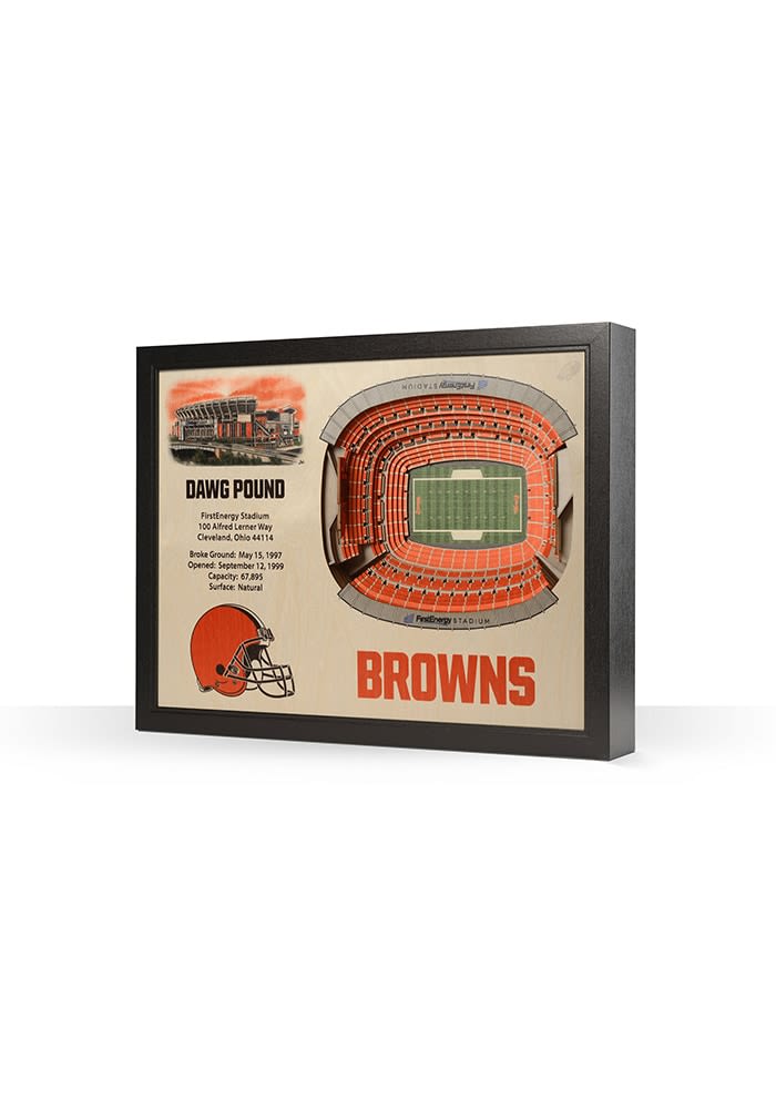 Officially Licensed NFL Cleveland Browns StadiumView 3D Wall Art