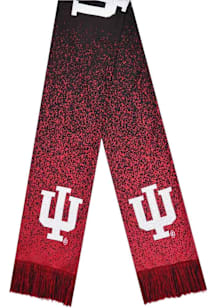 Forever Collectibles Indiana Hoosiers Big Logo Mens Scarf