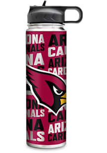 Arizona Cardinals 22oz Stainless Steel Tumbler - Silver