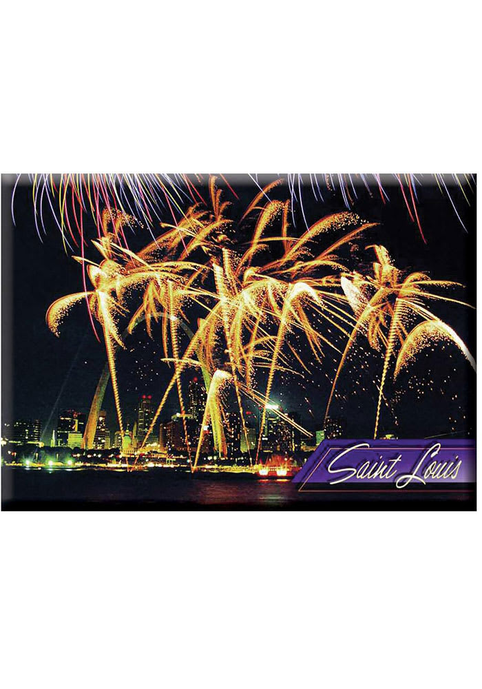 St Louis Stl Skyline With Fireworks Photo Magnet Magnet
