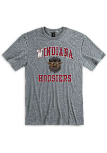 Indiana Hoosiers Grey Windiana Hoosier the Bison Short Sleeve T Shirt