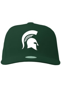 Michigan State Spartans Noggin Boss Mascot Head