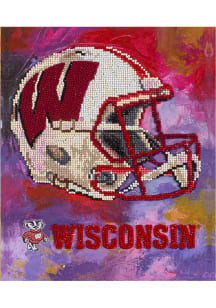 Wisconsin Badgers Diamond Painting Craft Kit Puzzle