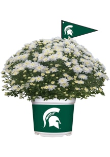 Michigan State Spartans Plastic Other Home Decor