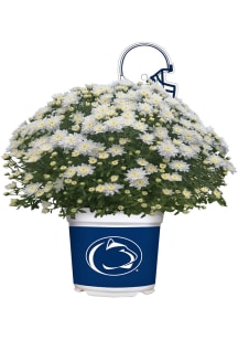 Penn State Nittany Lions Plastic Other Home Decor