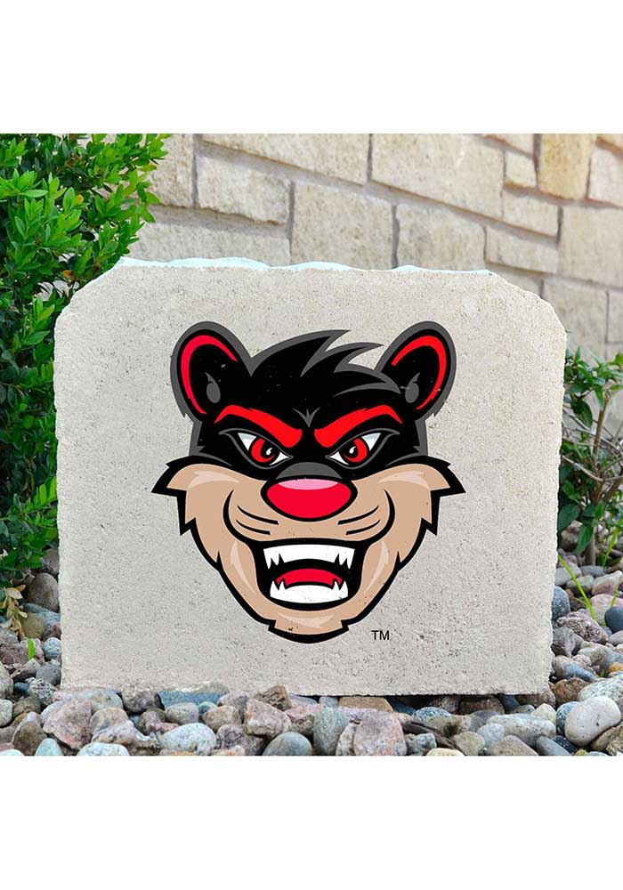 Cincinnati Bearcats 11x9 Inch Mascot Rock