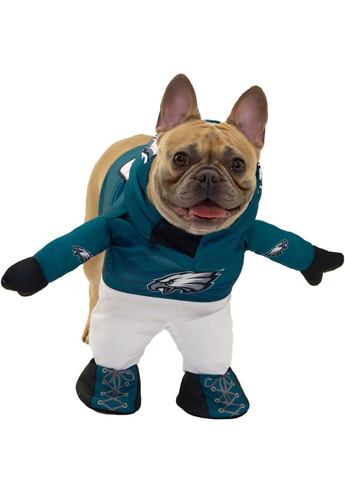 Philadelphia eagles dog hot sale clothes