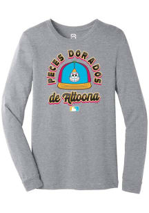 Summit Sportswear Altoona Curve Grey COPA 2025 Long Sleeve T Shirt