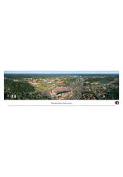 Florida State Seminoles Aerial Panorama Unframed Poster