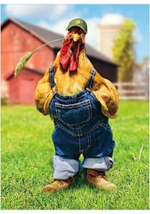 Local Gear CHICKEN IN OVERALLS Card - White