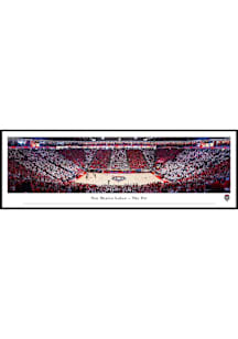 Blakeway Panoramas New Mexico Lobos The Pit Standard Framed Posters