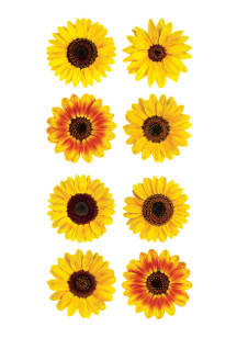 Kansas Sunflower Stickers