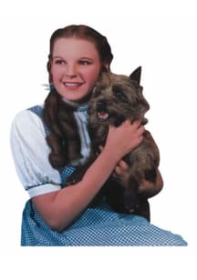 Wizard of Oz Dorothy Magnet