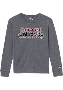 Harvard Crimson Youth Grey Repeating Workdmark Long Sleeve Fashion T-Shirt