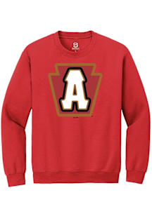 Summit Sportswear Altoona Curve Mens Red Primary Logo Long Sleeve Crew Sweatshirt