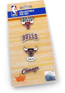 Chicago Bulls Souvenir 4 Piece Pin
