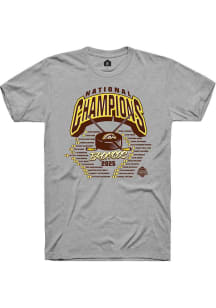 Mens Grey Western Michigan Broncos NIL 2025 National Champions Full Roster Player T Shirt