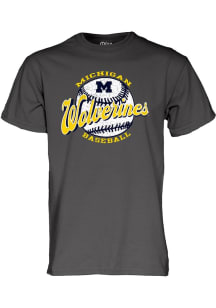 Michigan Wolverines 2025 Big Ten Baseball Short Sleeve T Shirt - Grey