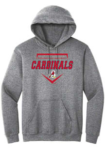 Summit Sportswear Springfield Cardinals Mens Graphite Homeplate Long Sleeve Hoodie