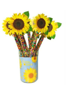 Kansas Sunflower Topper Sunny Seeds Snack