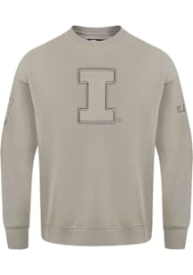 Pro Standard Illinois Fighting Illini Mens Brown Neutral Long Sleeve Crew Sweatshirt