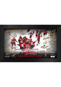 Florida Panthers 2025 NHL Stanley Cup Champions Signature Celebration Frame Collectible Coin