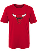 Chicago Bulls Boys Primary Logo T-Shirt - Red
