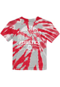 Ohio State Buckeyes Toddler Pennant Tie Dye T-Shirt - Red